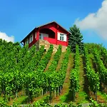 Naumburger Wein & Sekt Manufaktur - 1824 Πανσιόν
