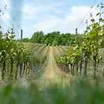 Πανσιόν Naumburger Wein & Sekt Manufaktur - 1824 Νάουμπουργκ
