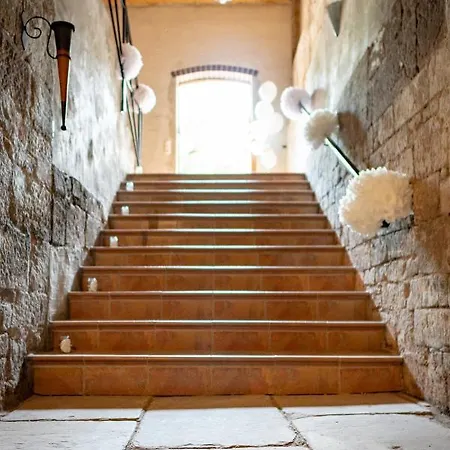 Naumburger Wein & Sekt Manufaktur - 1824