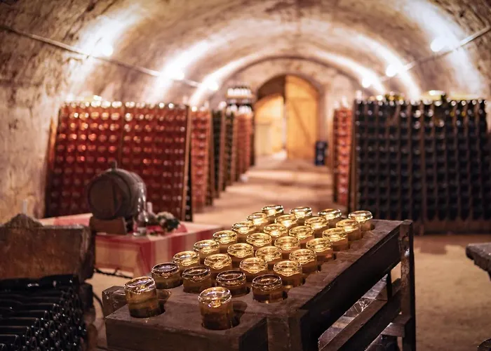 Vendégház Naumburger Wein & Sekt Manufaktur - 1824 Naumburg