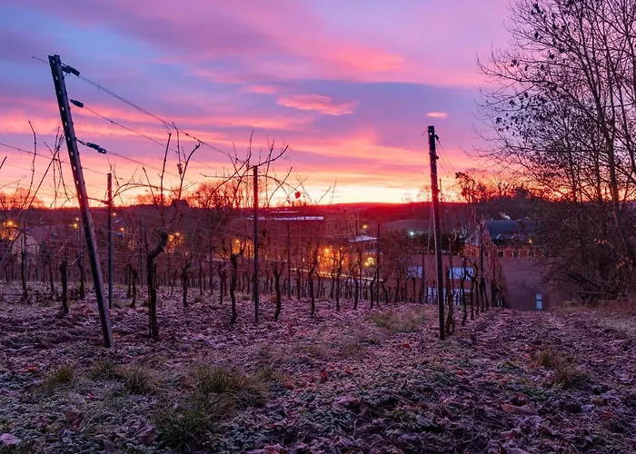Vendégház Naumburger Wein & Sekt Manufaktur - 1824 3*