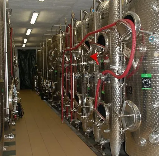 Naumburger Wein & Sekt Manufaktur - 1824 3* Naumburg